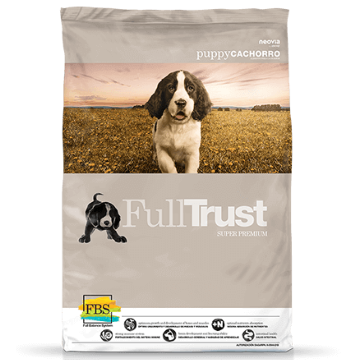 Full Trust Perro Cachorro Razas Mediana Y Grande