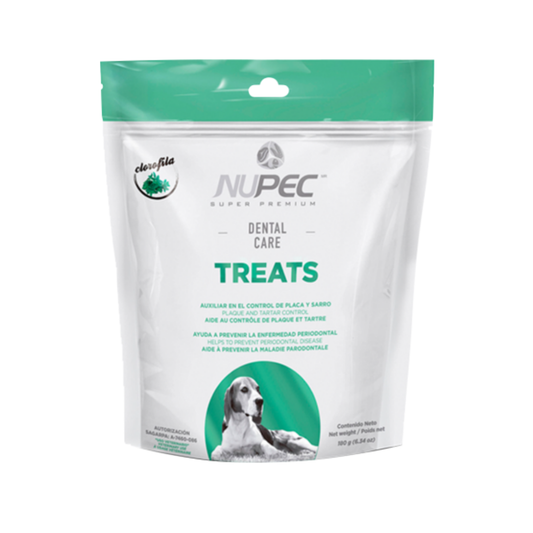 Nupec Dental Care