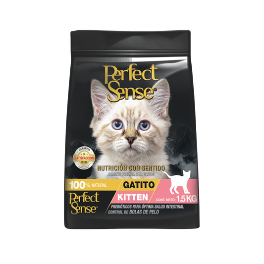Perfect Sense Gatito