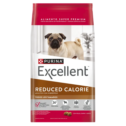 Excellent Adultos Con Sobrepeso